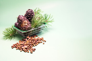 Pine cones and nuts in a metal basket basket on a green background.