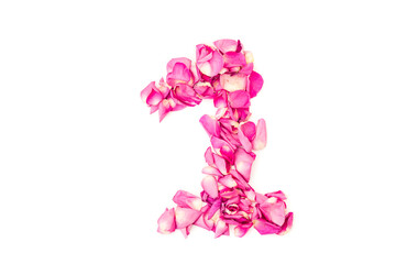 number 1 made from pink petals rose. Pink roses. Element for decoration.