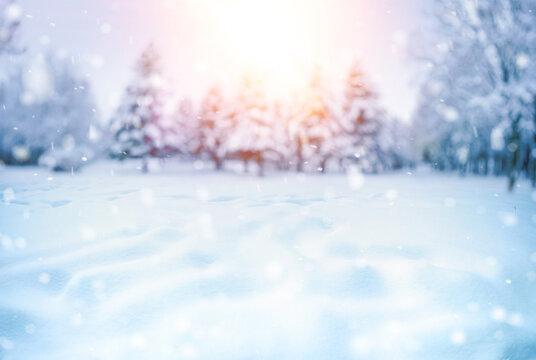 Beautiful natural winter defocused blurry background image with forest, snowdrifts and light snowfall in pinkish light of passing day on sunset.
