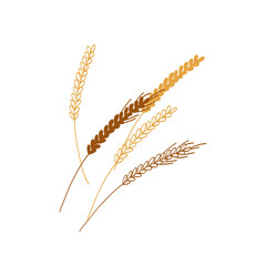 Wheat spikelet illustration isolated on white background