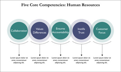Five Core competencies in Human Resources in an Infographic template