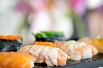Traditional japanese nigiri sushi with salmon and various seafood placed tray on white background