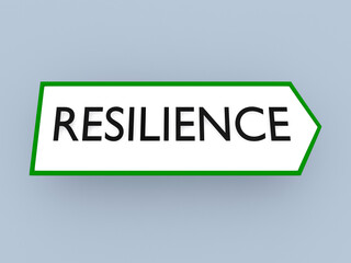 RESILIENCE - attitudinal concept