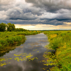 The summer Warta River with its backwaters