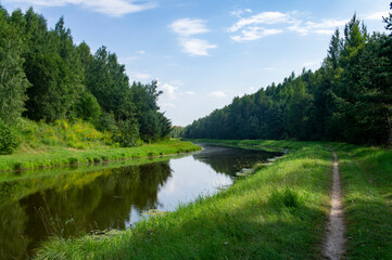 Green summer natural landscape with green grass, river and trees. Design background