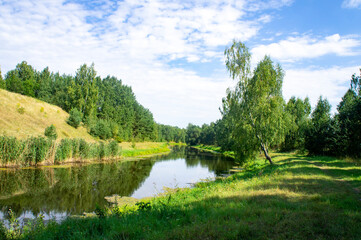 Green summer natural landscape with green grass, river and trees. Design background