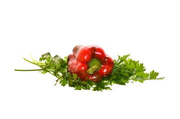 bell pepper isolated on white background