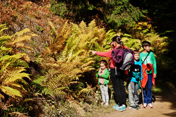 Mother with four kids in mountains forest near the fern. Family travel and hiking with childrens.