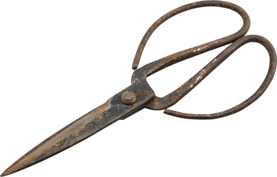 Old scissors Isolated