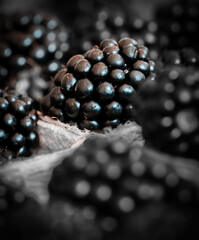 Nahaufnahme von Brombeeren