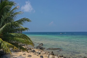 Tropical beach with stones and palm trees and a blue sea on Tioman Island in the South China Sea, belonging to Malaysia.