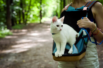 young woman walking in the woods with a young white cat in the back pack