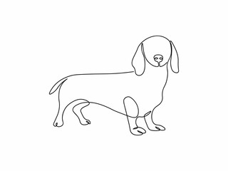 One line dachshund dog. Single line dog illustration. Dog art
