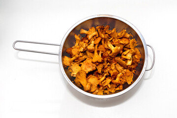 Chanterelle mushrooms in strainer