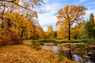 Catherine park lamdscape in autumn, Tsarskoe Selo (Pushkin), Saint Petersburg, Russia