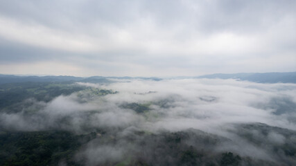京都府相楽郡周辺の雲海