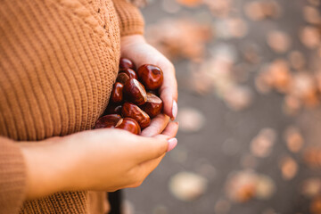 Pregnant woman standing autumn city park forest, holding chestnuts in her hands, stroking round belly with baby child inside. Fall time, red orange and yellow leaves. Mother's love, pregnancy concept
