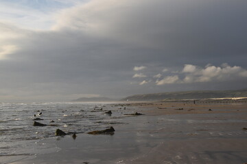 the remains of the petrified forest on Borth beach during low tide