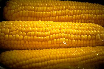 corn is cooked in a pan in the kitchen