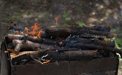 Fire. Burning firewood lies in the brazier and burns. Outdoors. Nature