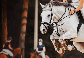 A beautiful white horse with a rider in the saddle jumps high against the background of rivals....