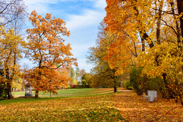 Autumn foliage in Catherine park, Tsarskoe Selo (Pushkin), Saint Petersburg, Russia