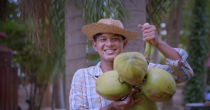 Slow-motion scene of a happy smiling young Asian farmer is holding coconut bunch whose fragrant water and soft flesh are perfect to sell as a beverage or called coconut with a flagrant juice.