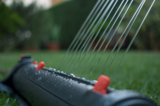 lawn sprinkler on a lawn