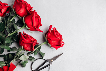 Composition of a bouquet, red roses. Small business. Flowers delivery, creating order. Congratulations on the holiday