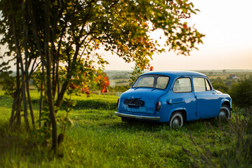 car in the field