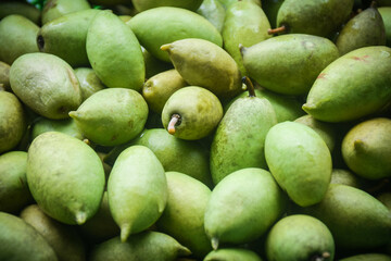 freshness organic olive fruit Thailand background