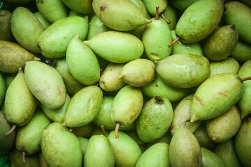 freshness organic olive fruit Thailand background