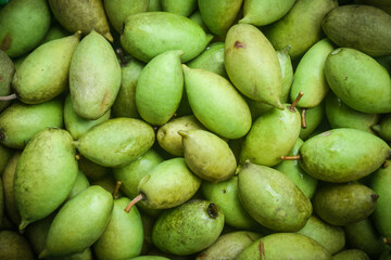 freshness organic olive fruit Thailand background