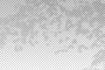 Shadow of leaf flower from window. Leaves shadow isolated on transparent background. Sunlight trees effect overlay. Plants shade. Natural foliage for summer mockup. Reflection plant on wall. Vector