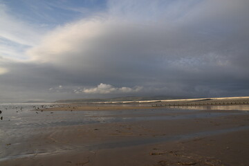 the remains of the petrified forest on Borth beach during low tide