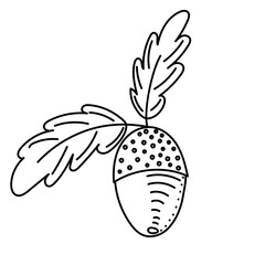 acorn doodle drawing, isolated, vector