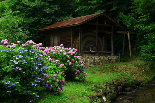 Undershot Images Browse 12 663 Stock Photos Vectors And Video Adobe Stock Undershot Images Browse 12 663 Stock Photos Vectors And Video Adobe Stock