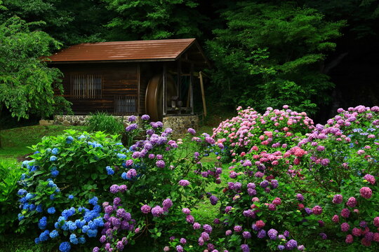 Undershot Images Browse 12 663 Stock Photos Vectors And Video Adobe Stock Undershot Images Browse 12 663 Stock Photos Vectors And Video Adobe Stock