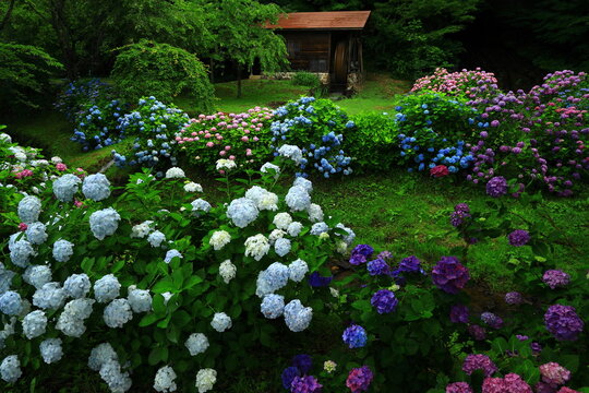 Undershot Images Browse 10 266 Stock Photos Vectors And Video Adobe Stock Undershot Images Browse 10 266 Stock Photos Vectors And Video Adobe Stock