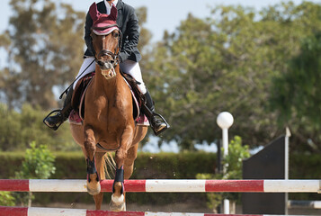 Sport horse jumping over a barrier on a obstacle course, rider in uniform performing jump at show...