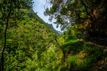 Madeira - Levada do Castelejo