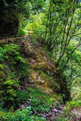 Madeira - Levada do Castelejo