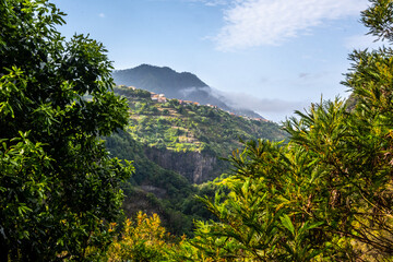 Madeira - Levada do Castelejo