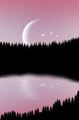 night in forest skyline