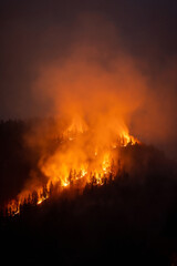 Mountain forest wildfire at night with burning trees