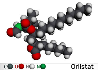 Orlistat molecule. It is lipase inhibitor used in the treatment of obesity. Molecular model. 3D rendering