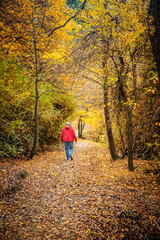 people walking in golden autumn landscape, yellow leaves in a forest or park, beautiful fall background, outdoor shot