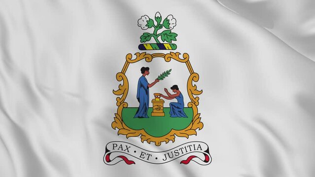 Saint Vincent and the Grenadinesnational emblem or symbol in waving flag. smooth 4k video seemless loop