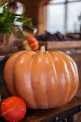 Halloween pumpkin. Holiday autumn backgrounds. Beautiful composition.
