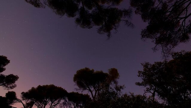 Estrellas en movimiento, El Pardo, Madrid, Espa&ntilde;a
